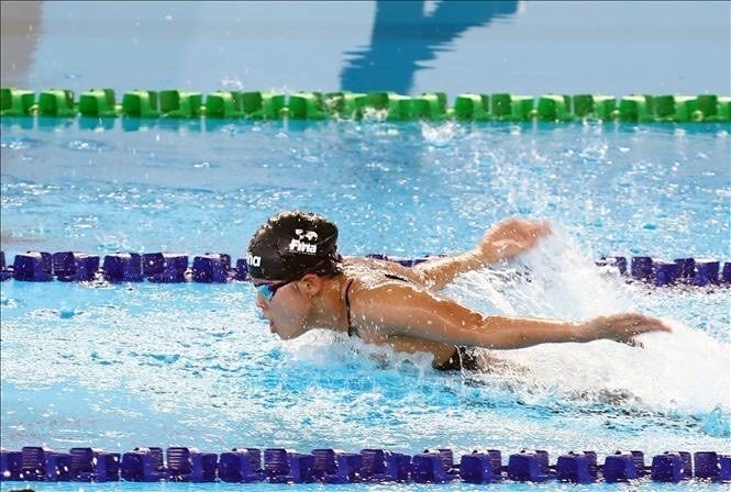 Butterfly in competition